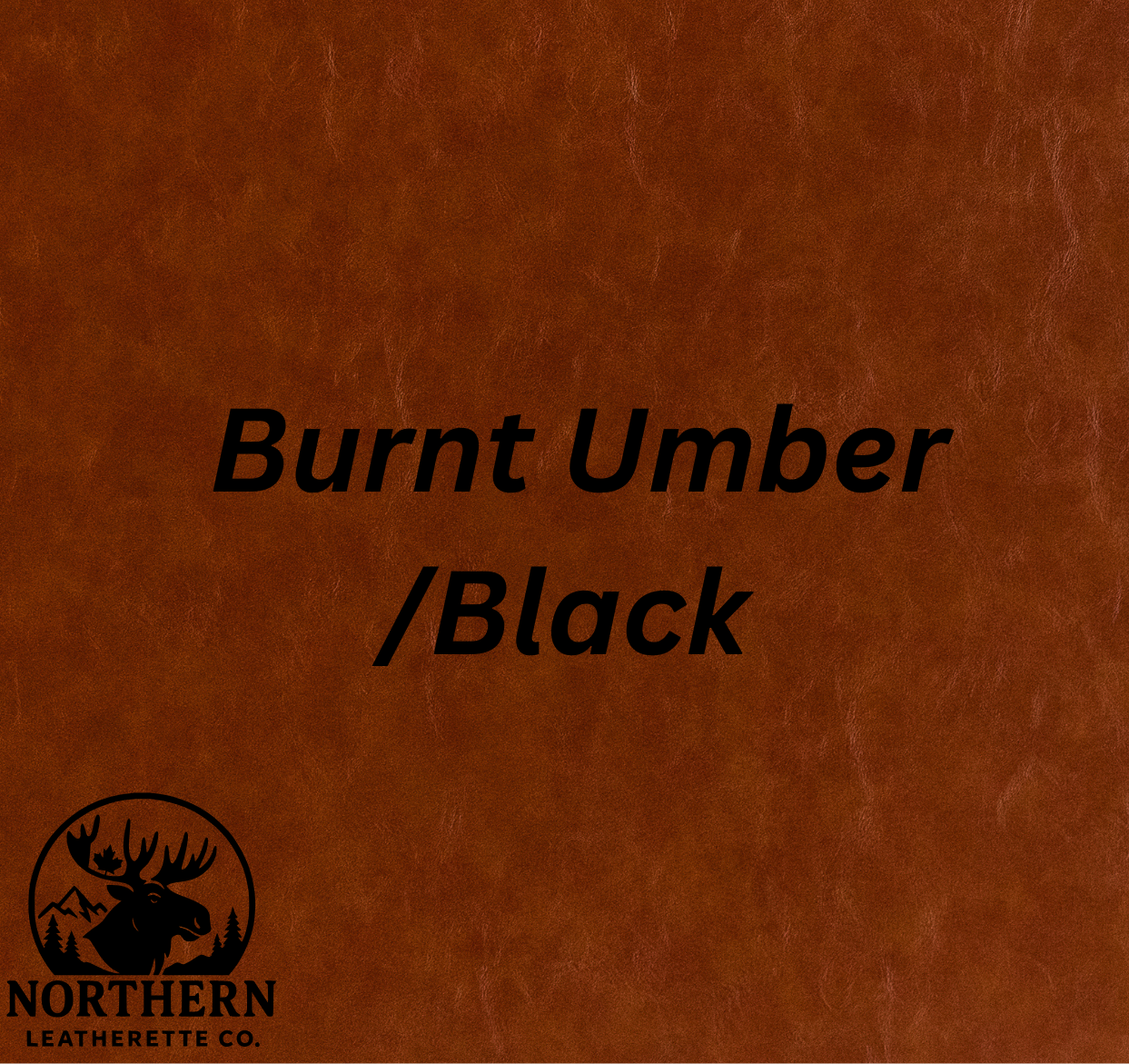 Burnt Umber / Black